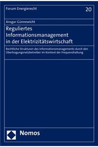 Reguliertes Informationsmanagement in Der Elektrizitatswirtschaft