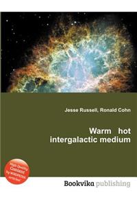 Warm Hot Intergalactic Medium