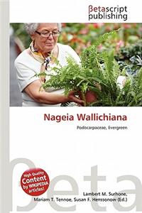 Nageia Wallichiana