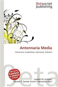 Antennaria Media