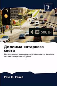 Дилемма янтарного света