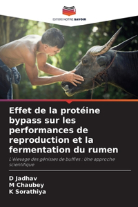 Effet de la protéine bypass sur les performances de reproduction et la fermentation du rumen