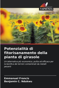 Potenzialità di fitorisanamento della pianta di girasole