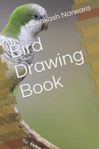 Bird Drawing Book