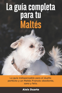 Guía Completa Para Tu Maltés
