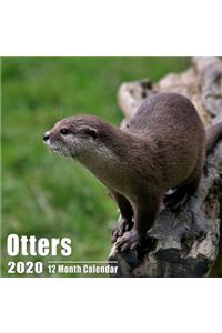 Otters Small Calendar 2020