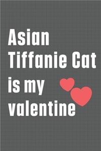 Asian Tiffanie Cat is my valentine