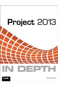Project 2013 in Depth
