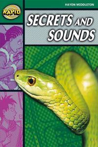 Rapid Stage 5 Set B: Secrets & Sounds Reader Pack of 3 (Series 2)