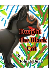 Dwight the Black Cat.