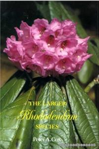 Larger Rhododendrons