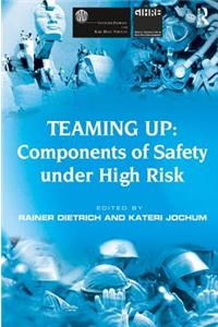 Teaming Up: Components of Safety Under High Risk