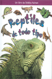 Reptiles de Todo Tipo (Reptiles of All Kinds)