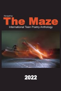 Navigating the Maze 2022