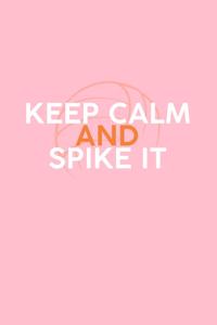 Keep Calm And Spike It