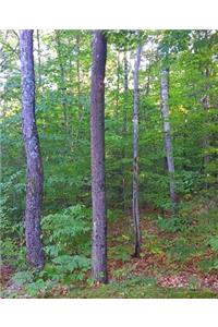 School Composition Book Summer Woods