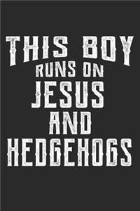 This Boy Runs on Jesus and Hedgehogs