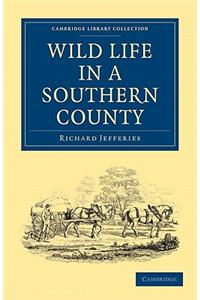 Wild Life in a Southern County