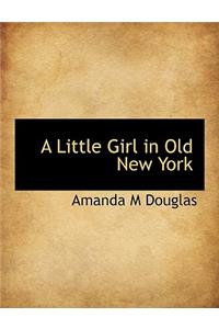 A Little Girl in Old New York