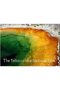 Yellowstone National Park - UK Version 2017