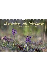 Orchidees Du Perigord 2018
