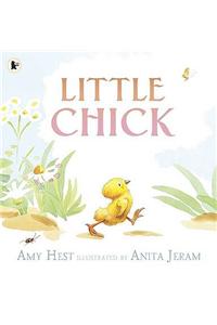 Little Chick