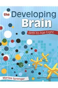 Developing Brain