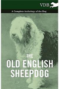 The Old English SheepDog A Complete Anthology of the Dog