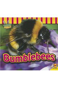 Bumblebees