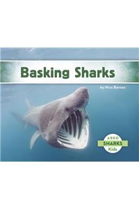 Basking Sharks