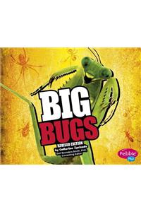 Big Big Bugs