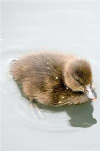 Mind Blowing Cute Duckling Journal