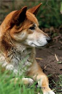 Dingo January Notebook Dingo Record, Log, Diary, Special Memories, To Do List, Academic Notepad, Scrapbook & More