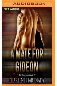 Mate for Gideon