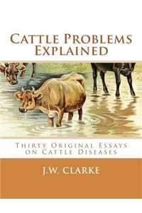 Cattle Problems Explained