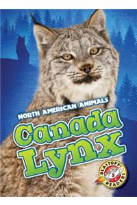 Canada Lynx