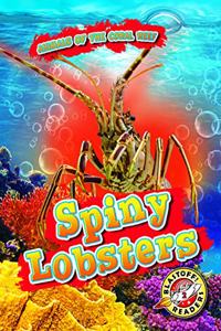 Spiny Lobsters