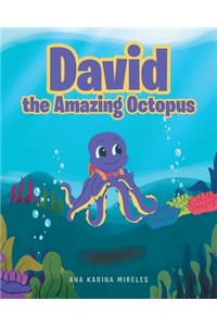 David the Amazing Octopus