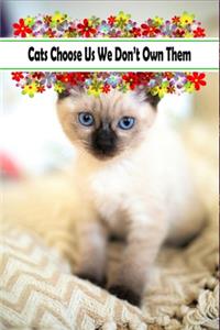 Cats Choose Us We Don't Own Them