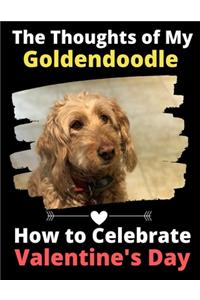 Thoughts of My Goldendoodle
