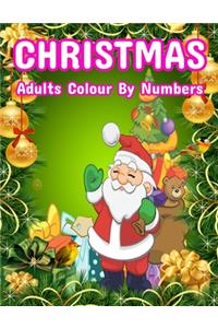 Christmas Adults Colour By Numbers