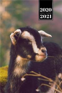 Goat Farmer Farming Herder Goatherd Week Planner Weekly Organizer Calendar 2020 / 2021 - Small and Hungry