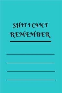 Shit I Can't Remember