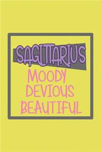 Sagitarius Moody, Devious, Beautiful Zodiac Horoscope lined blank notebook