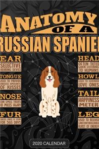 Anatomy Of A Russian Spaniel
