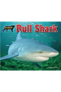 Bull Shark