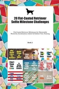 20 Flat-Coated Retriever Selfie Milestone Challenges: Flat-Coated Retriever Milestones for Memorable Moments, Socialization, Indoor & Outdoor Fun, Training Book 1