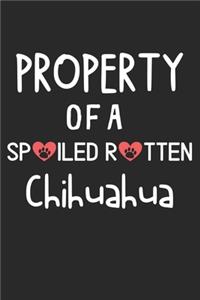 Property Of A Spoiled Rotten Chihuahua