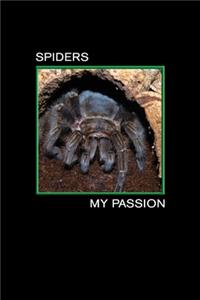 Spiders my Passion