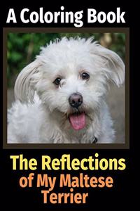 The Reflections of My Maltese Terrier